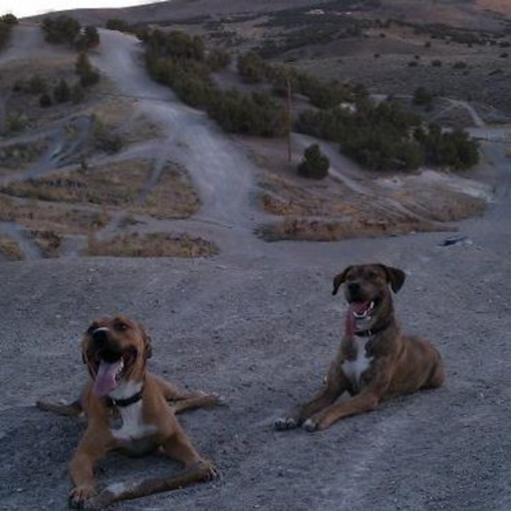 Meet your Posher, Celeste